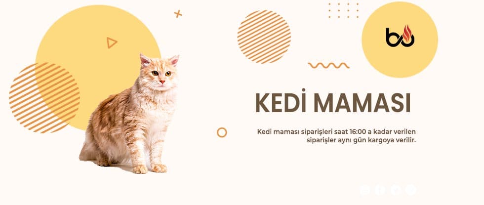 Kedi Mamaları