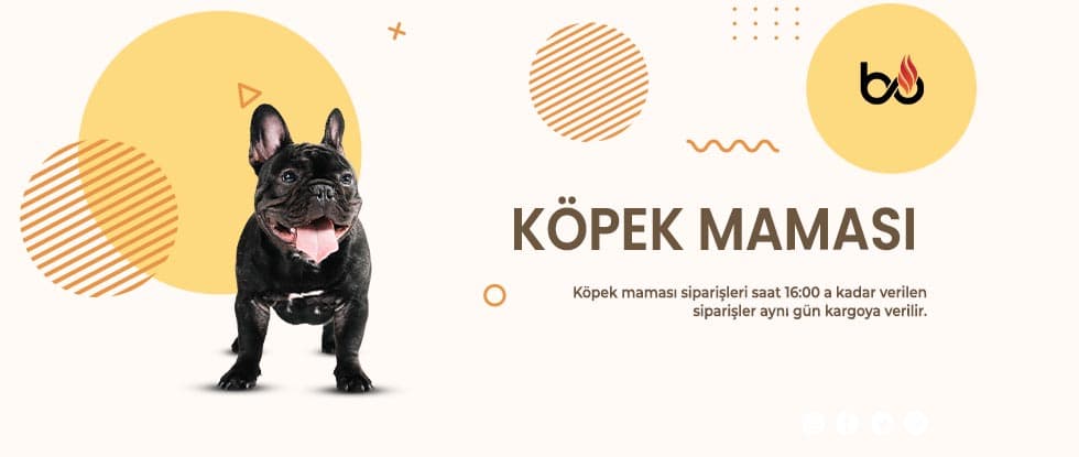 Köpek Mamaları